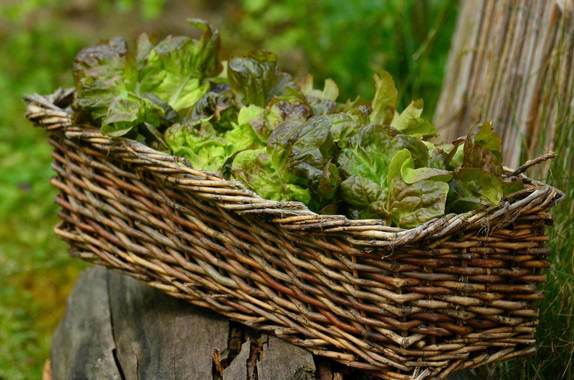 Idée culinaire du mois